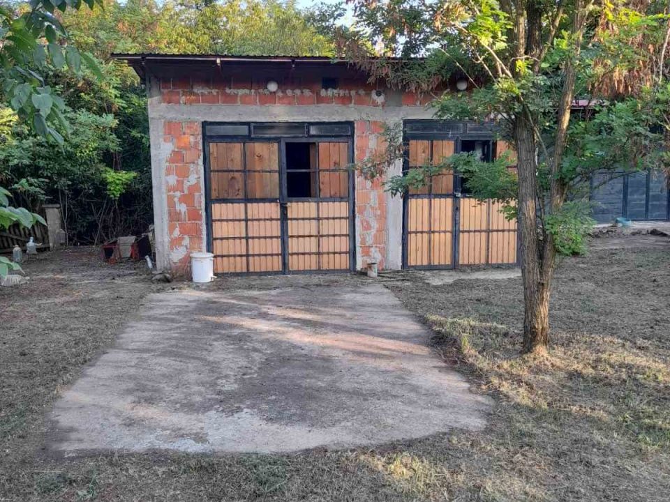 photo_2025-11-12_09-56-50