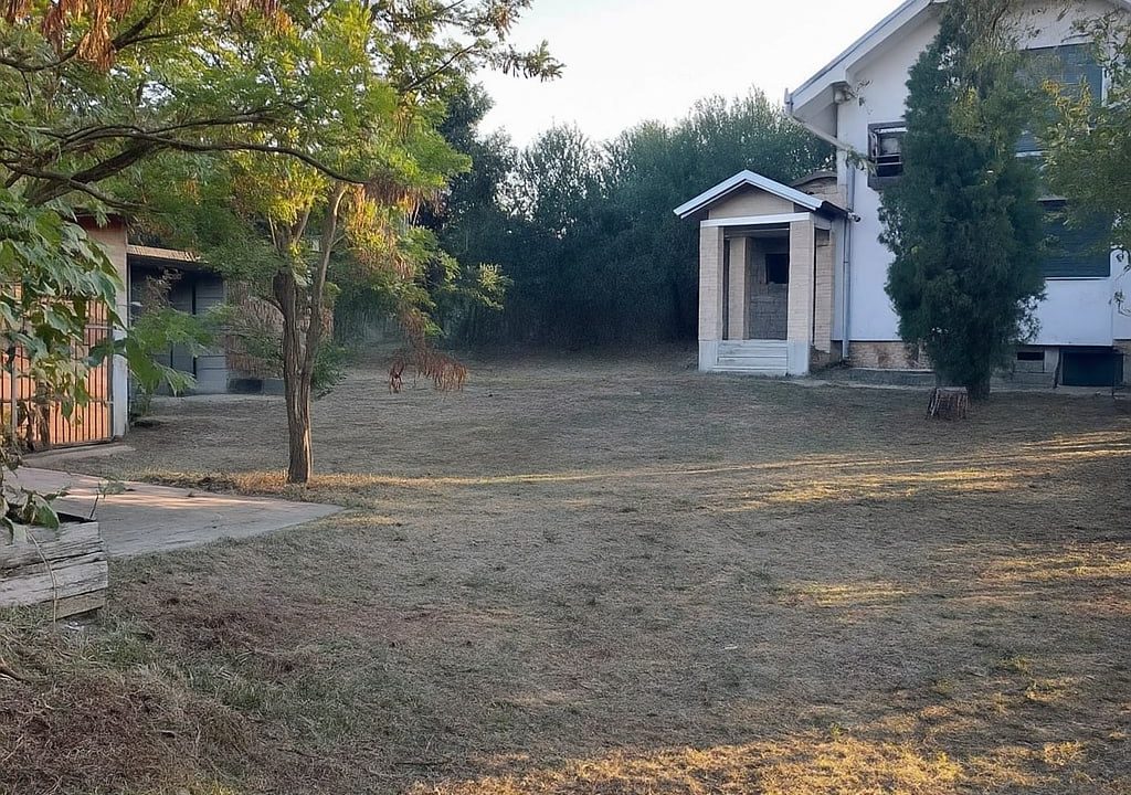 photo_2025-11-12_09-56-53