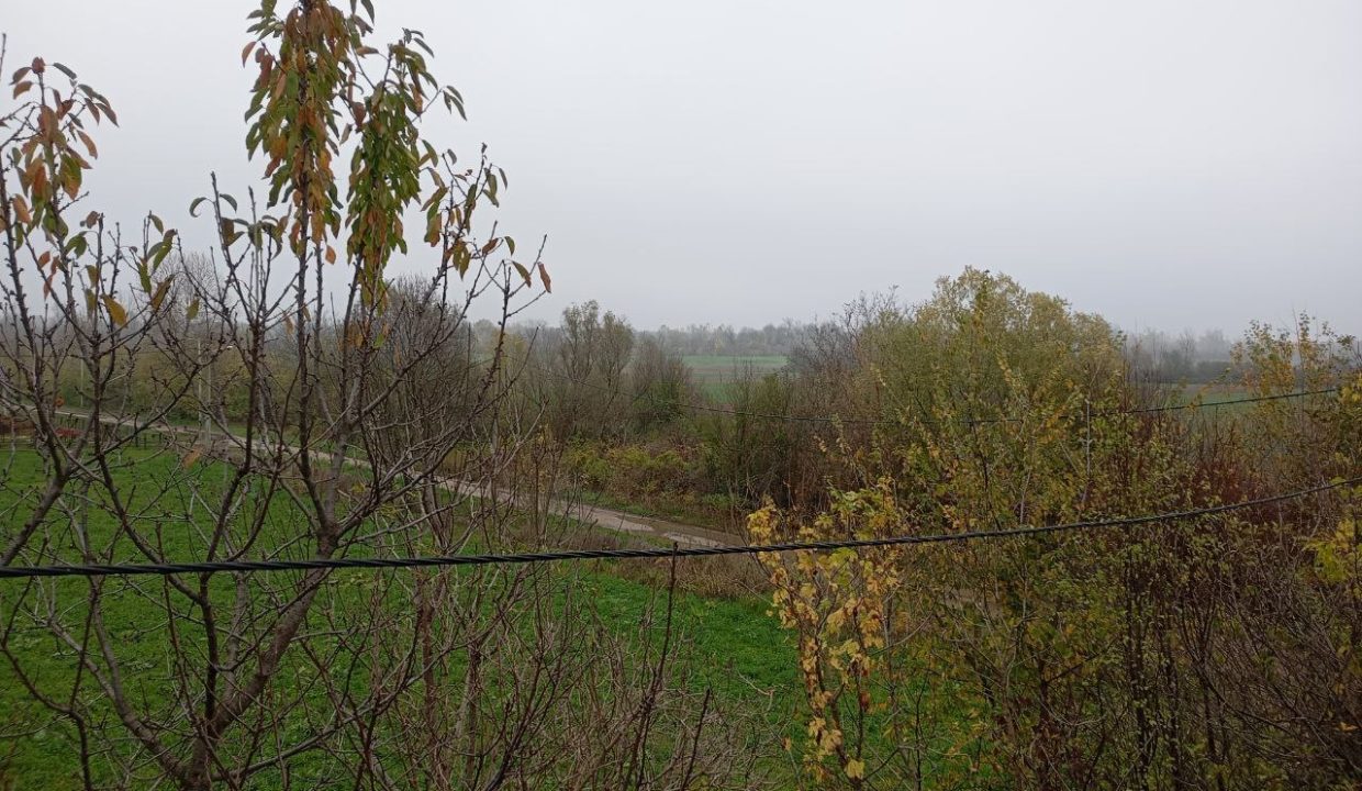 photo_2025-11-12_10-02-46