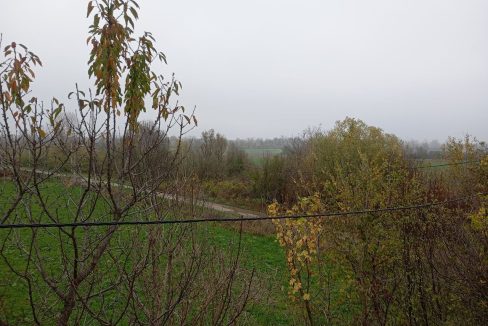 photo_2025-11-12_10-02-46