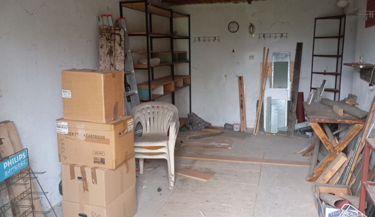 photo_2025-11-12_10-02-48