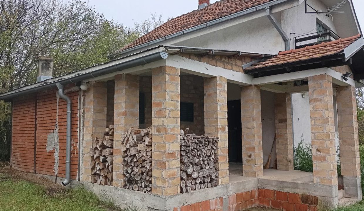 photo_2025-11-12_10-02-51