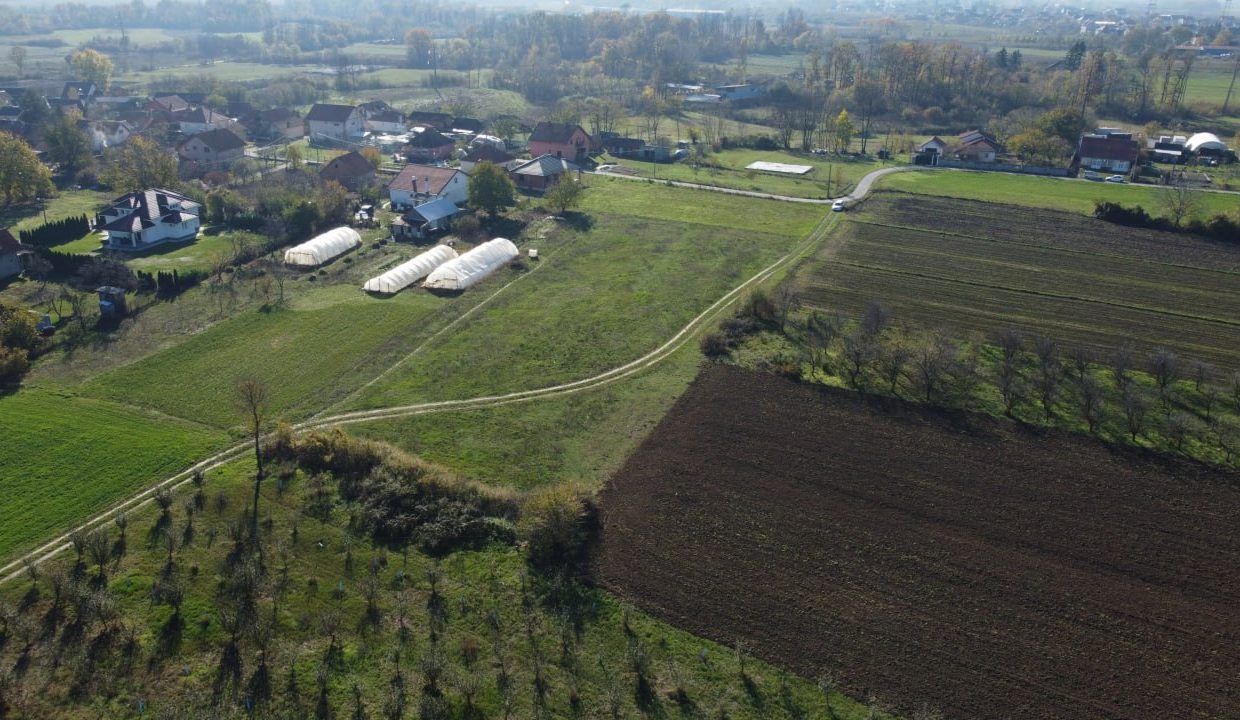 photo_2025-11-19_12-18-03