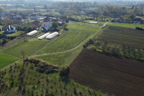 photo_2025-11-19_12-18-03