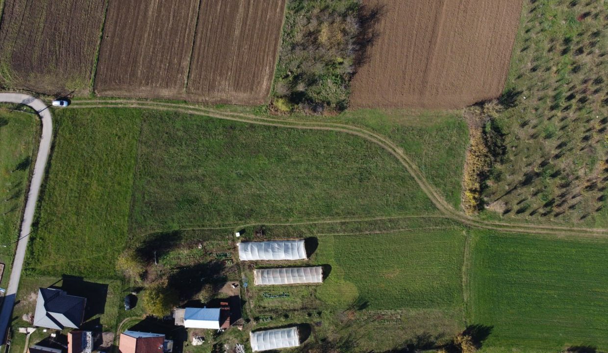 photo_2025-11-19_12-18-10