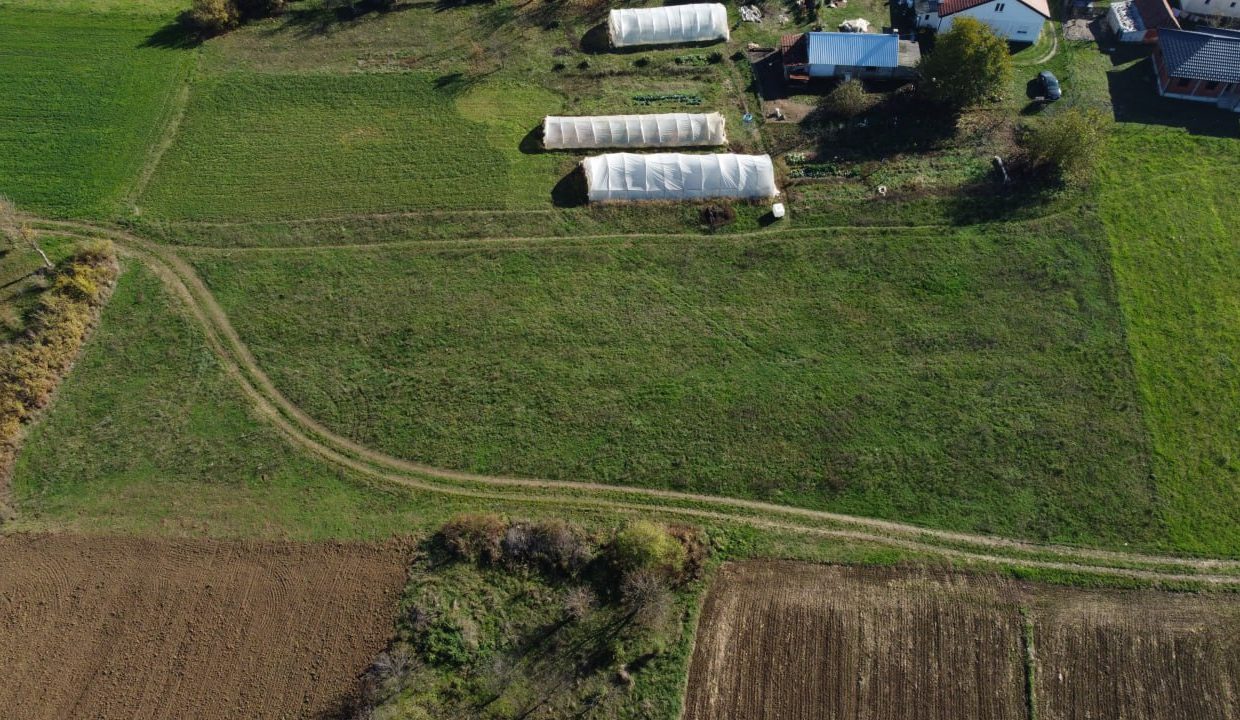 photo_2025-11-19_12-18-17