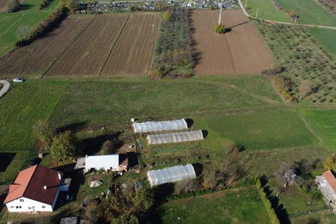 photo_2025-11-19_12-18-20