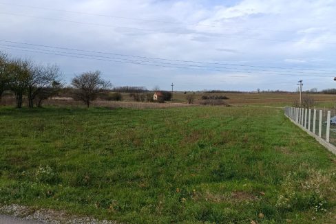 photo_2025-11-26_11-02-32