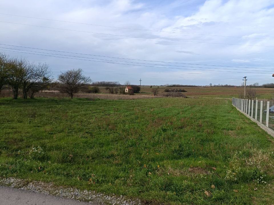 photo_2025-11-26_11-02-32