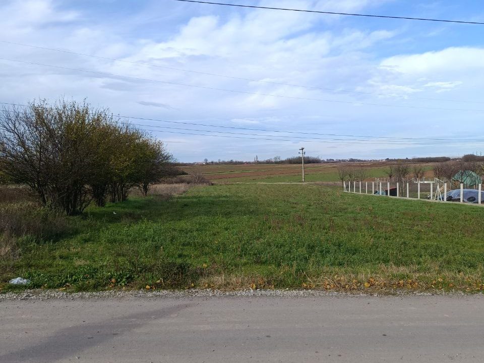 photo_2025-11-26_11-02-35