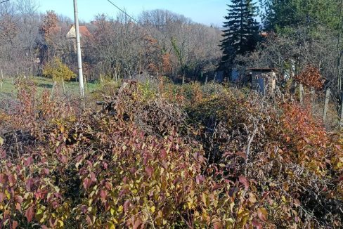 photo_2025-12-09_14-34-31