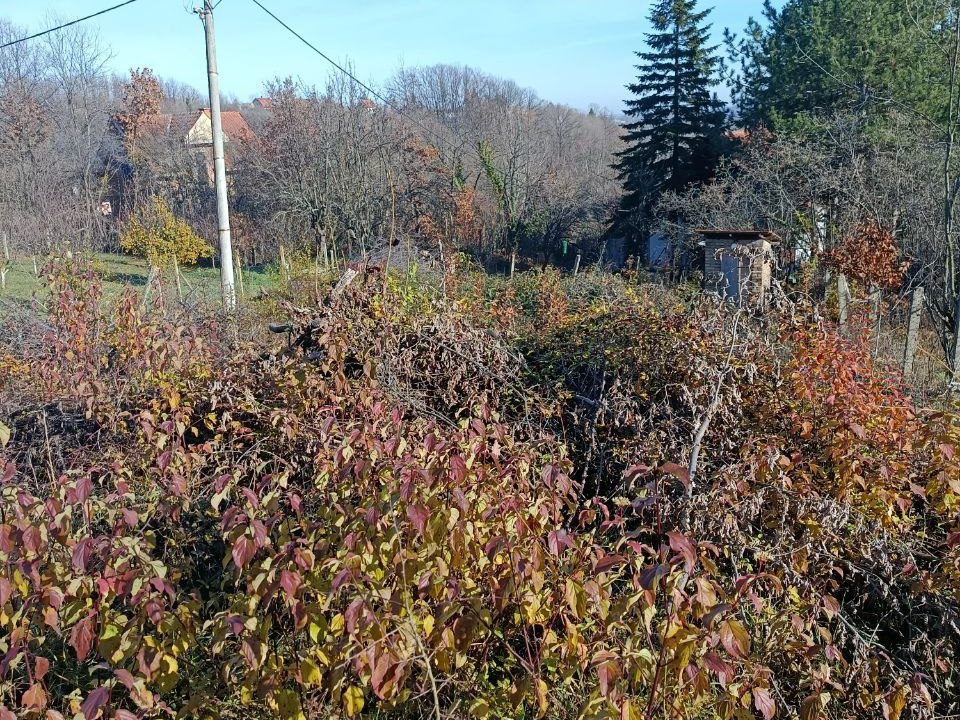 photo_2025-12-09_14-34-31