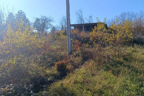 photo_2025-12-09_14-34-37