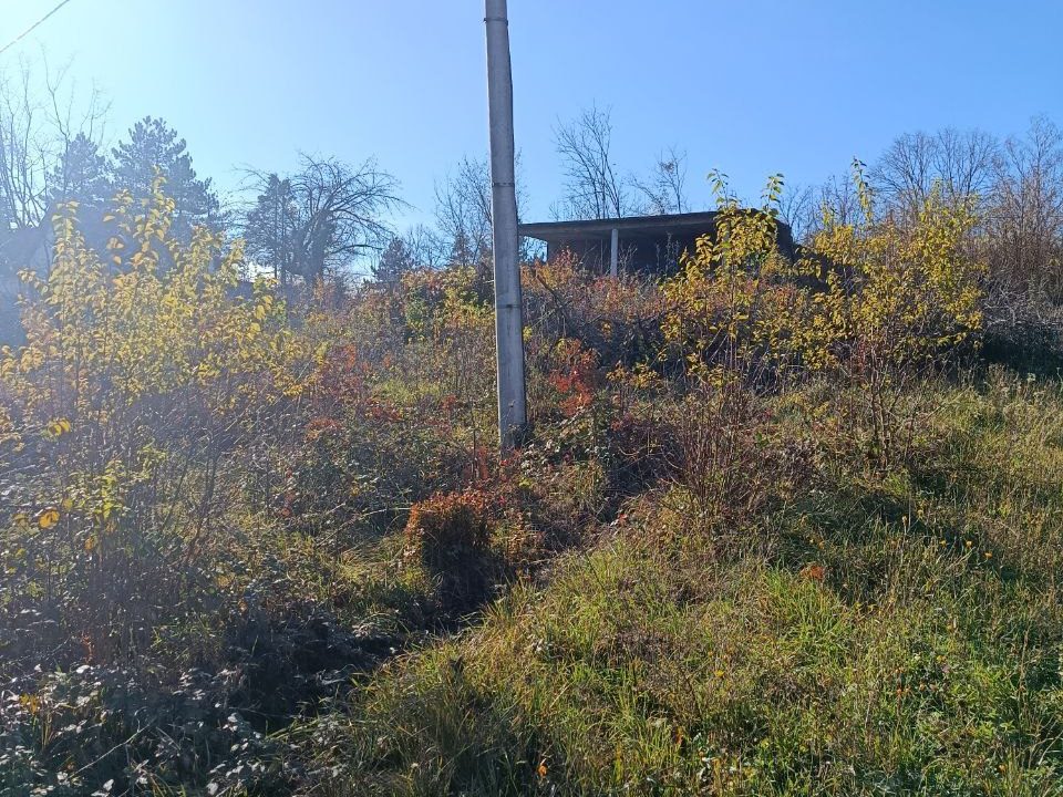 photo_2025-12-09_14-34-37