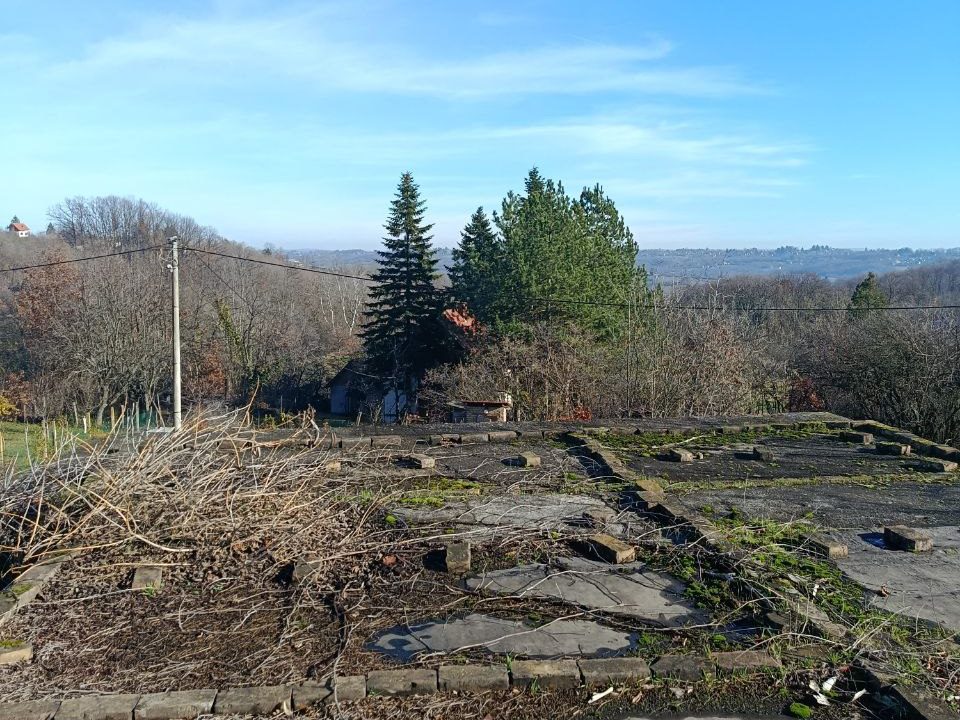 photo_2025-12-09_14-34-43