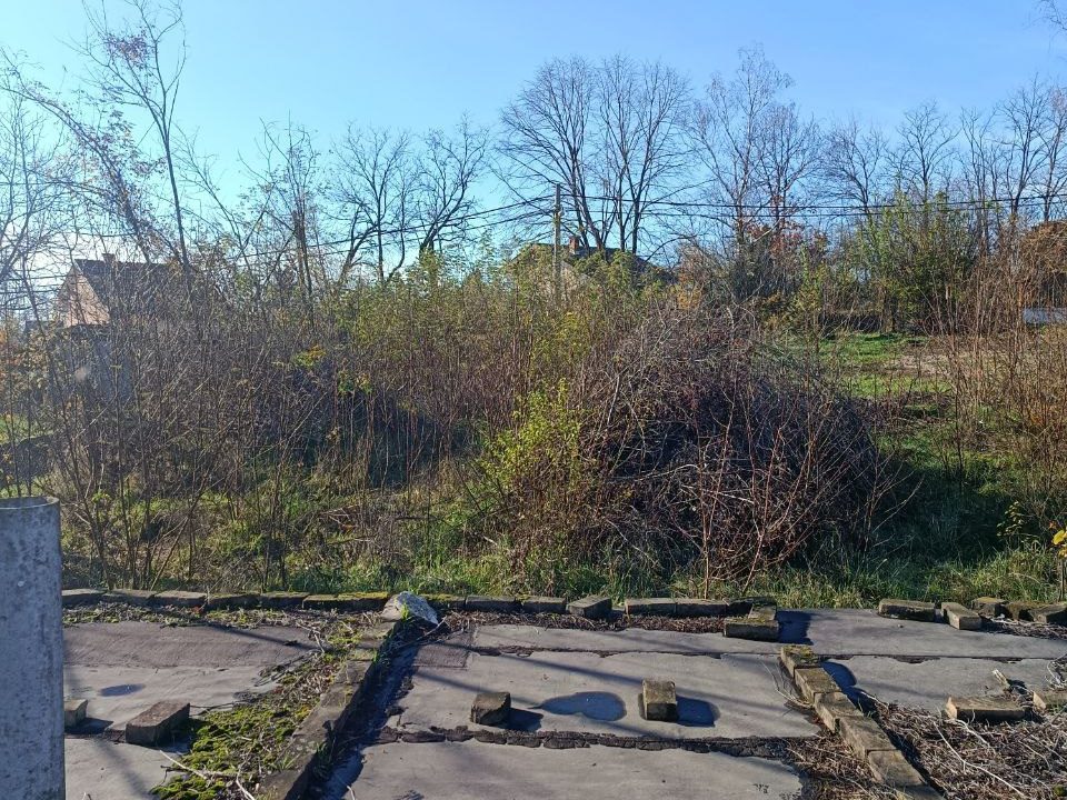 photo_2025-12-09_14-34-46