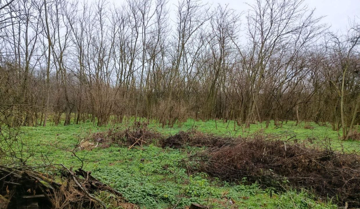 photo_2025-12-25_15-03-05