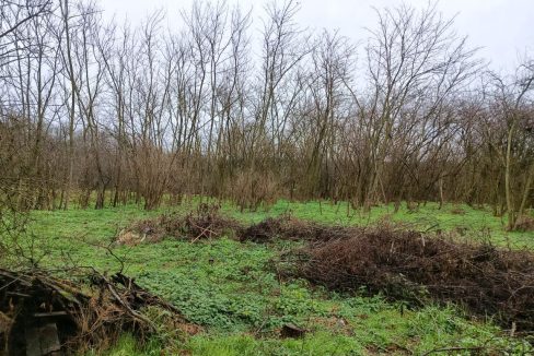 photo_2025-12-25_15-03-05