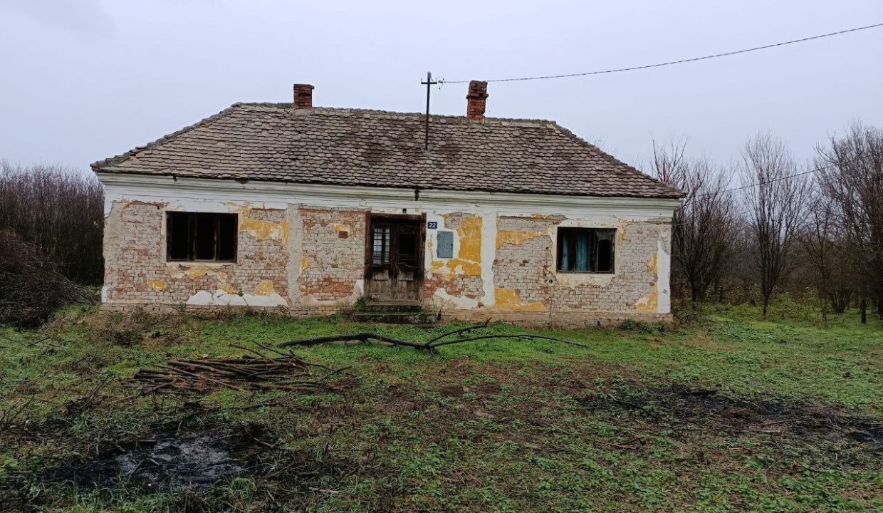 photo_2025-12-25_15-03-10