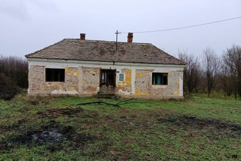 photo_2025-12-25_15-03-10