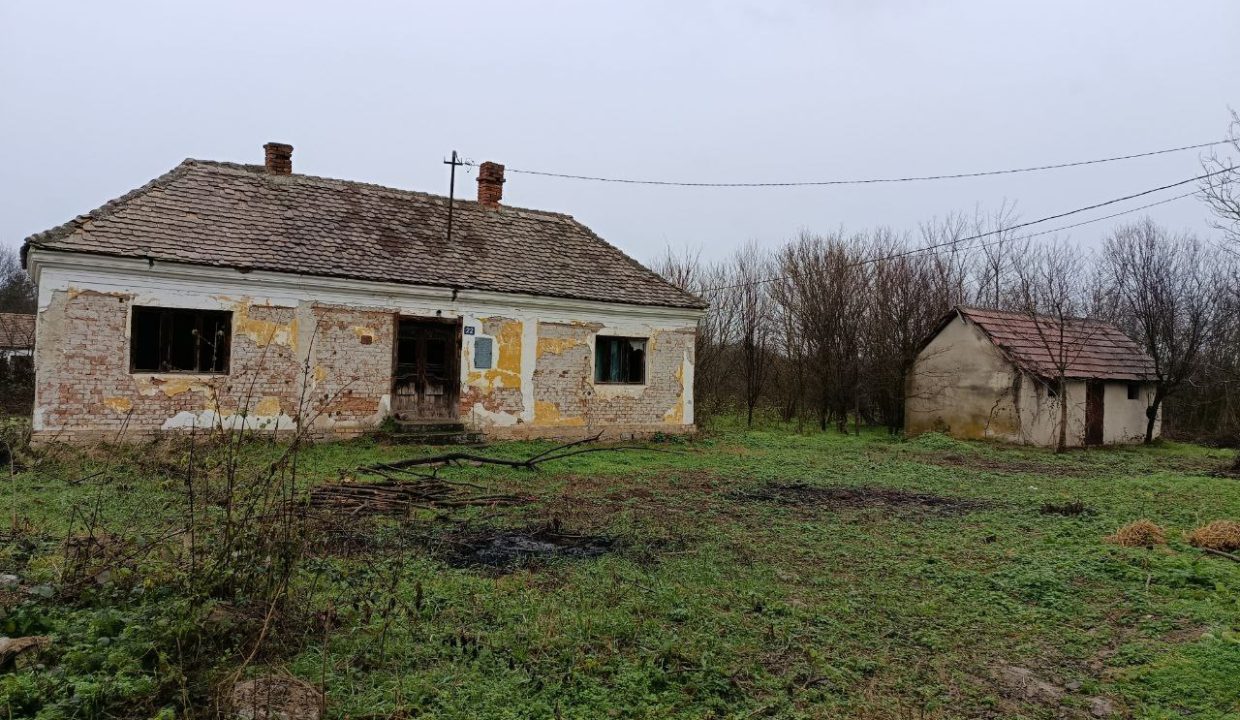 photo_2025-12-25_15-03-12