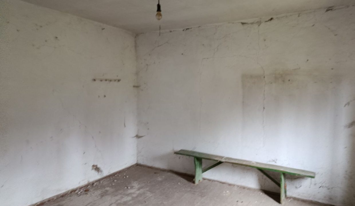 photo_2025-12-25_15-03-23