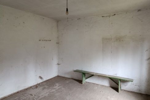 photo_2025-12-25_15-03-23