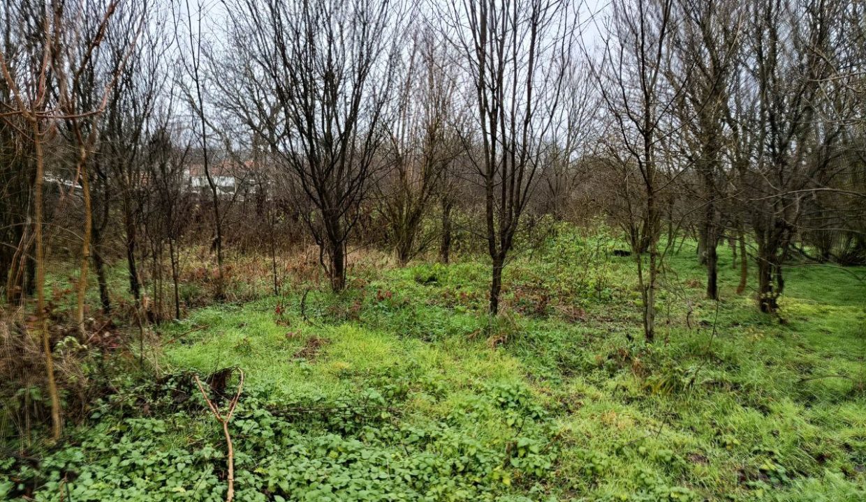 photo_2025-12-25_15-03-28