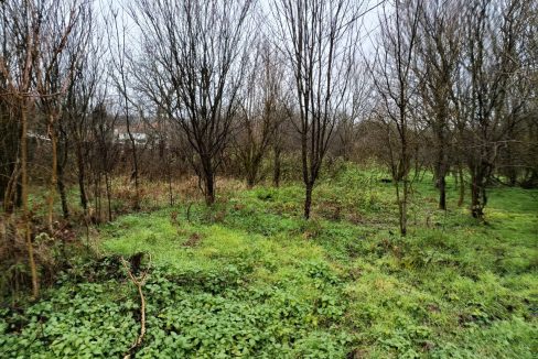 photo_2025-12-25_15-03-28