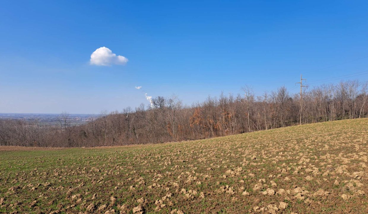 9d2b6077-8d5f-40f8-bb69-37ca395948ba