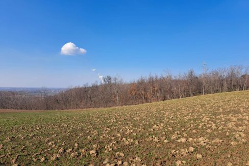 9d2b6077-8d5f-40f8-bb69-37ca395948ba