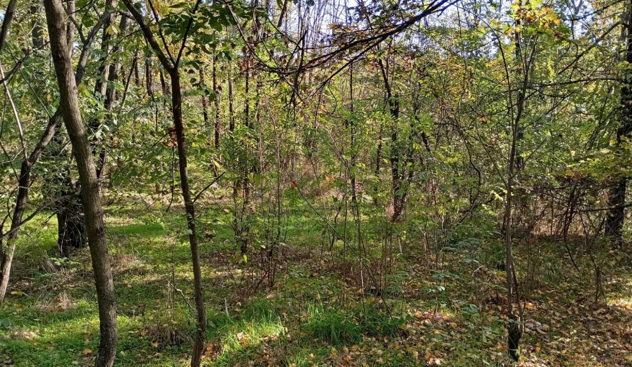 photo_2026-01-13_11-52-38