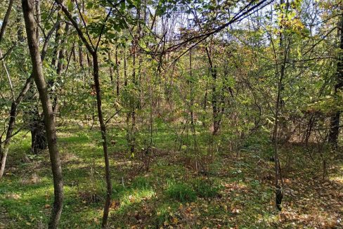 photo_2026-01-13_11-52-38