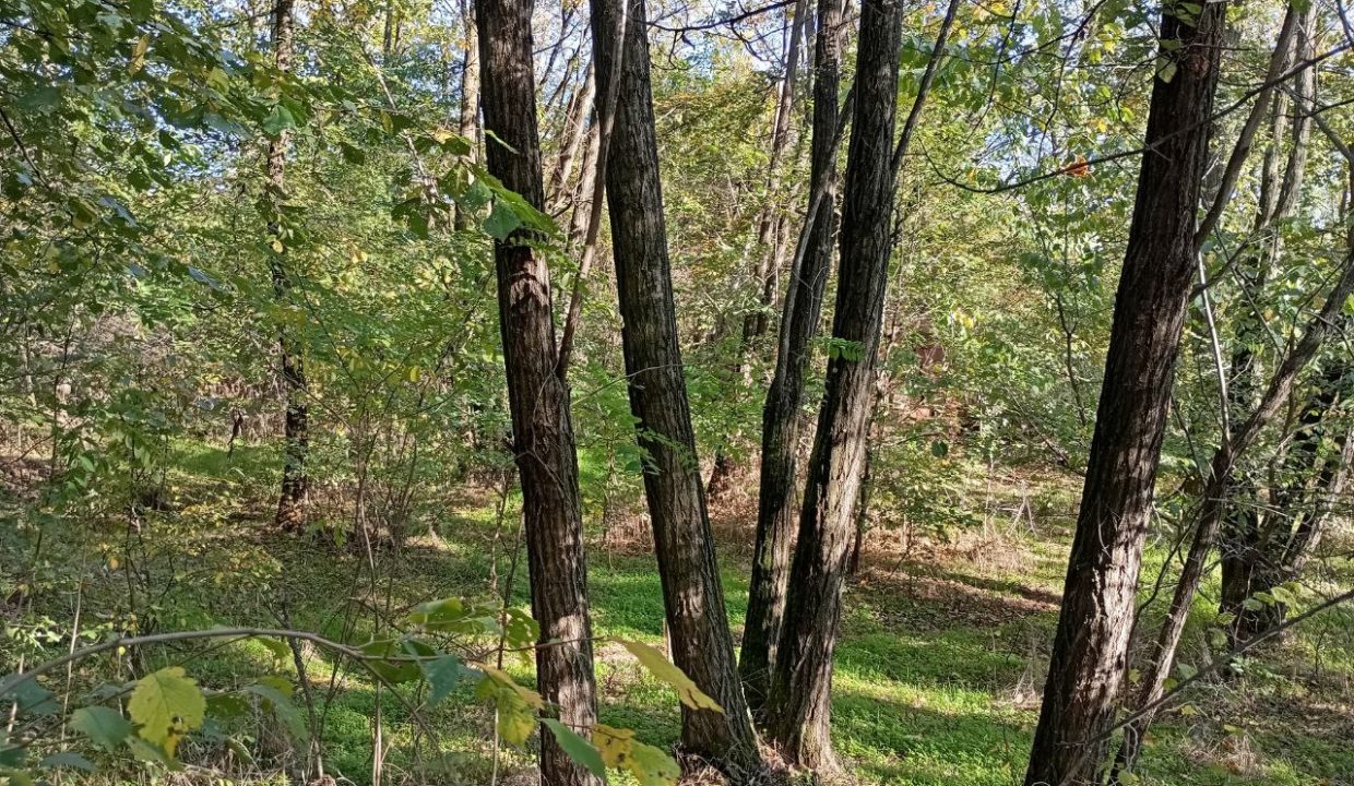 photo_2026-01-13_11-52-43