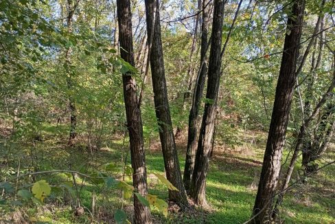 photo_2026-01-13_11-52-43