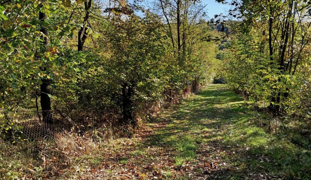 photo_2026-01-13_11-52-45