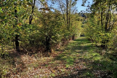 photo_2026-01-13_11-52-45