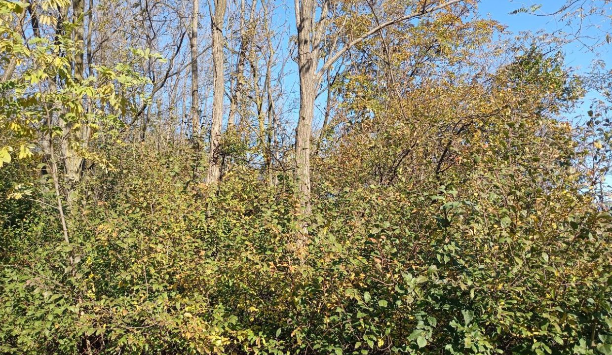 photo_2026-01-13_11-52-48