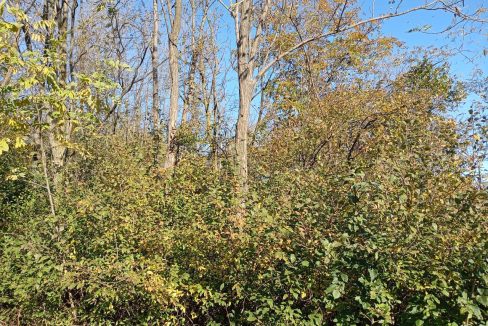 photo_2026-01-13_11-52-48