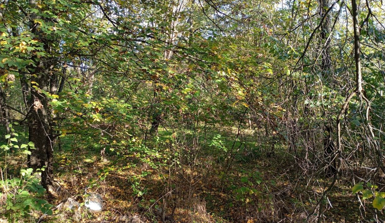 photo_2026-01-13_11-52-51