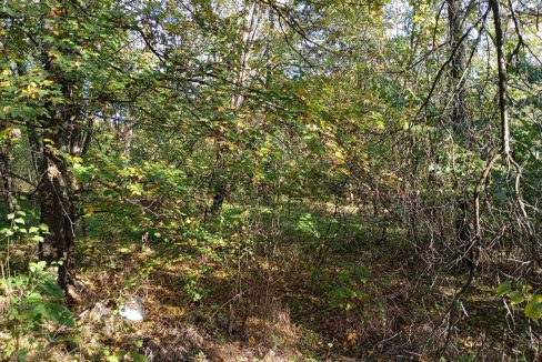 photo_2026-01-13_11-52-51