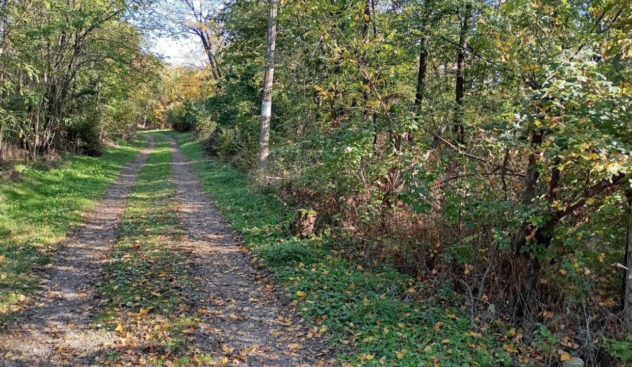 photo_2026-01-13_11-52-53