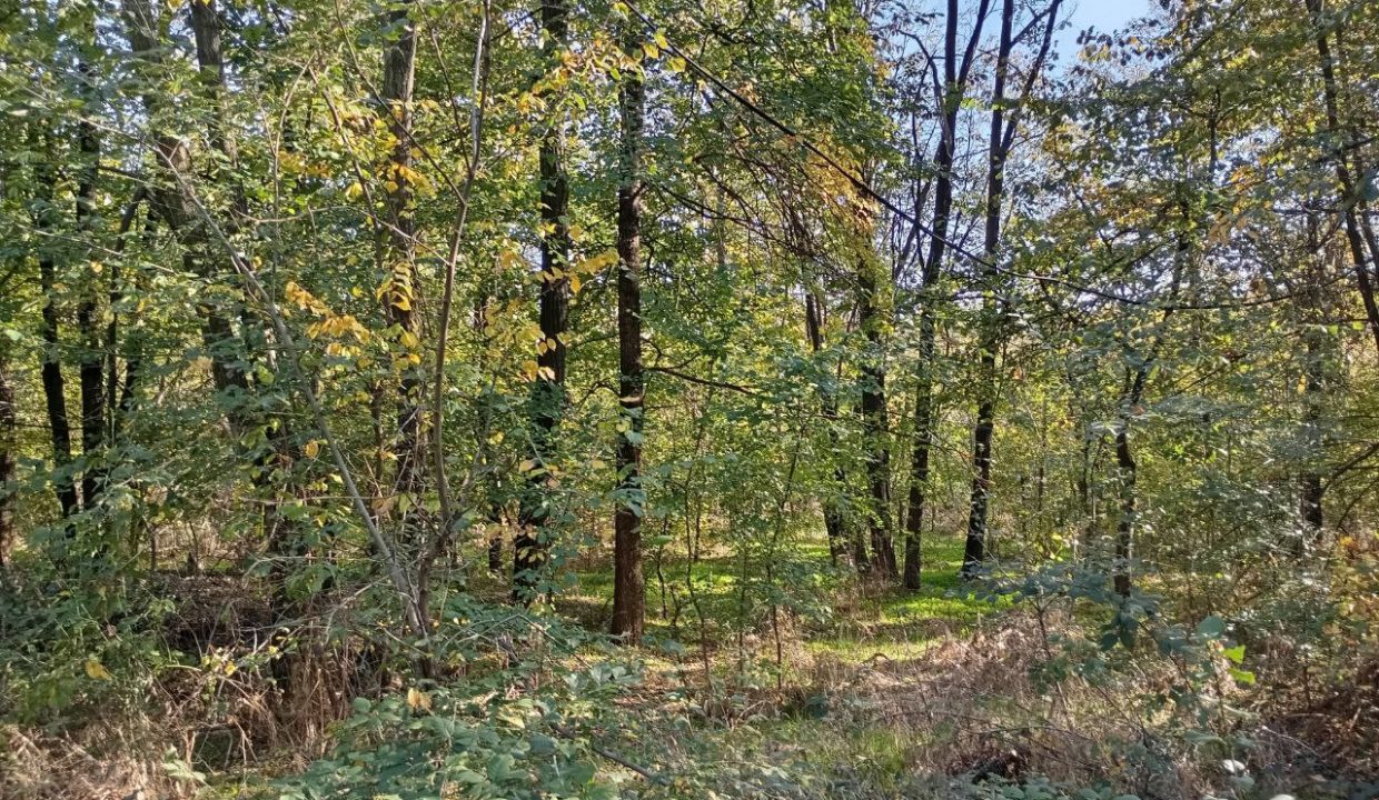 photo_2026-01-13_11-52-55