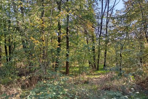 photo_2026-01-13_11-52-55