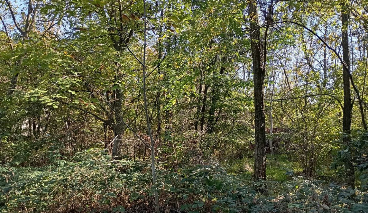 photo_2026-01-13_11-52-58