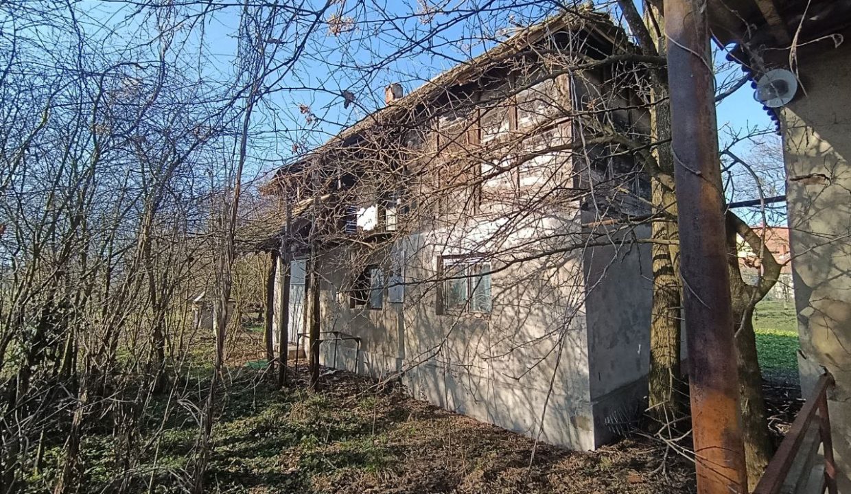 photo_2026-01-28_10-40-09