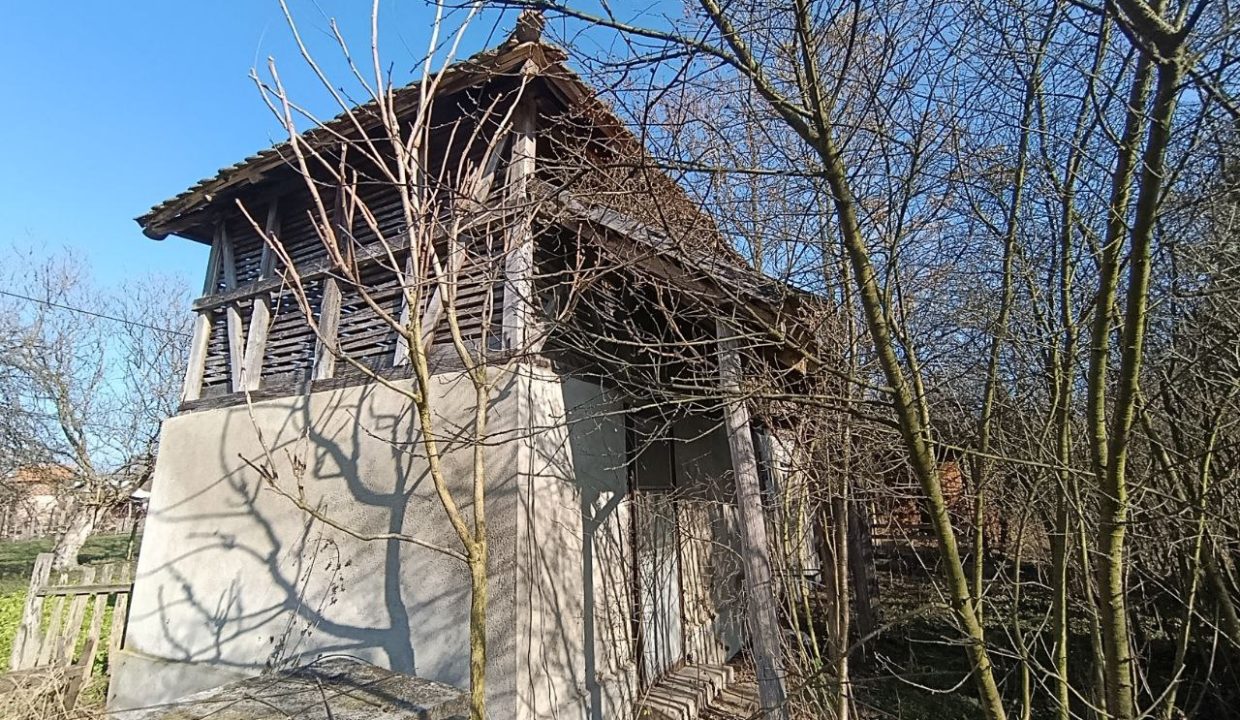 photo_2026-01-28_10-40-13