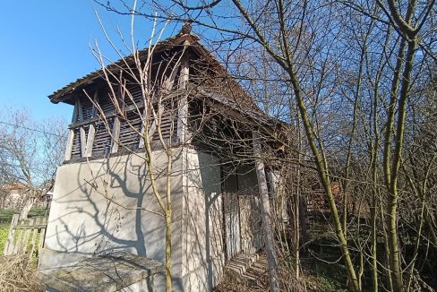 photo_2026-01-28_10-40-13