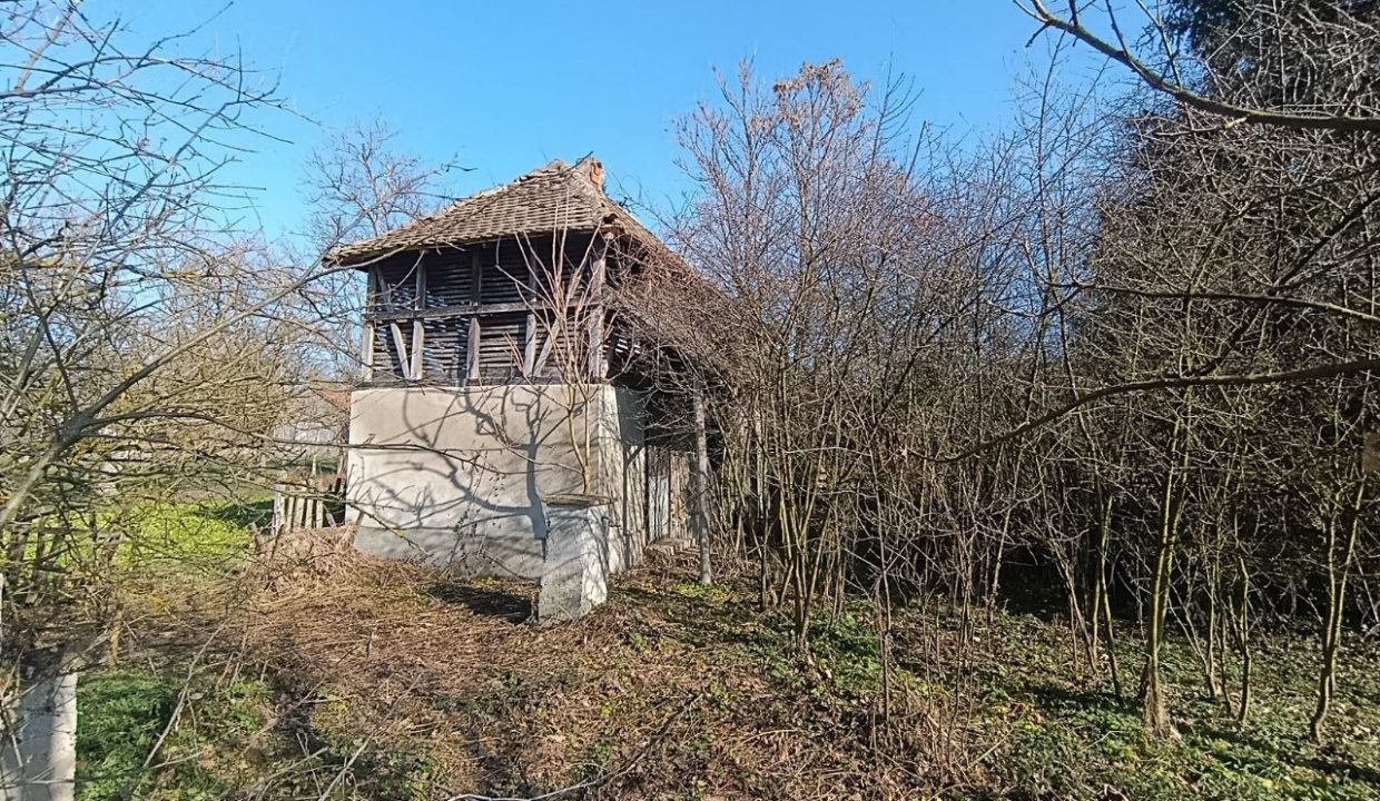 photo_2026-01-28_10-40-15