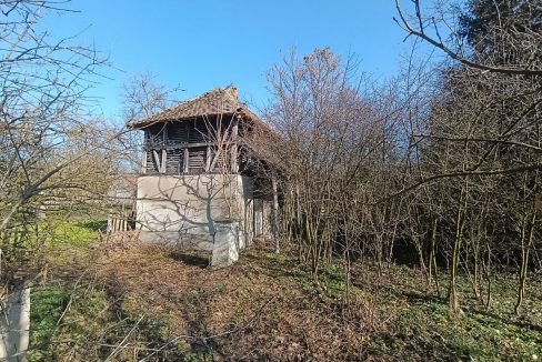 photo_2026-01-28_10-40-15